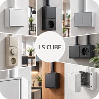 LS CUBE
