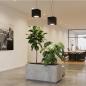 Preview: CDS LED-Pendelleuchte X-LINE SINGLEX HORTICULTURE – Professionelle Pflanzenbeleuchtung mit Sun-Like Full Spectrum und CRI 98