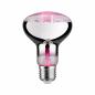 Preview: LED Plant R80 Pflanzen Reflektor Grow Green Edition E27 Paulmann 28733