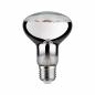Preview: LED Plant R80 Pflanzen Reflektor Grow Green Edition E27 Paulmann 28733