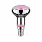 Preview: Paulmann 28734 LED Reflektor Plant R50 E14 6.5W