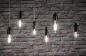 Preview: Paulmann 28922 Filament LED Birne E27 modern 7W neutralweiß Matt