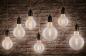 Preview: Paulmann 28954 Filament E27 LED Globe retro G80 4,8W warmweiß Klar