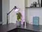 Preview: OSRAM E27 LED Strahler Star Grow Lamp T 60 Pflanzenlampe