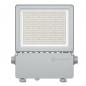 Preview: FLOODLIGHT FLEX DALI ASYMMETRIC 45 x 140 FL FLEX DA P 130W 840 A45X140 WAL