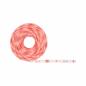 Preview: Komplettset 5m Paulmann 70534 SimpLED LED Strip Smart Home Zigbee RGB 20W 450lm 30LEDs/m RGB 24VA