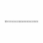 Preview: Paulmann 70630 Function MaxLED Strip 1m TW 7W 24V Silber