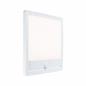 Preview: Paulmann 94663 LED Außenpanel Lamina Backlight Bewegungsmelder seewasserresistent Spritzwasser geschützt eckig 250x47mm warmweiß 14,5W Weiß Kunststoff