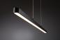 Preview: Paulmann 96816 URail Pendelleuchte Lento up&down Schwarz matt Metall dimmbar