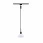 Preview: Paulmann 96974 URail Pendel Sarrasani max 20W E14 Schw matt/Opal 230V Metall Glas