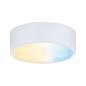 Preview: Paulmann 99954 Clever Connect Spot Medal 2W 2700-6500K tunable White 12V Weiß matt/Kunststoff