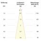 Preview: EVN F11RXXXM0640L38P COB-LED Deckeneinbauleuchte 6 W 809 lm 4000 K 38° schwenkbar Einbaudurchmesser 70 mm