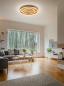 Preview: Helestra SONA LED Deckenleuchte 60 W 4690 lm 2900 K Warmweiß CASAMBI Smart Ø 59,5 cm Blattgold