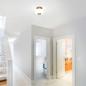 Preview: HELESTRA SAPO Deckenleuchte LED coffee