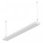 Preview: EVN LED Pendelleuchte up/down light (DALI) PPD1500125
