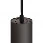 Preview: SLV 1004147 NUMINOS PD PHASE S Indoor LED Pendelleuchte schwarz/schwarz 2700K 36°