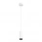 Preview: SLV 1004152 NUMINOS PD PHASE S Indoor LED Pendelleuchte weiß/schwarz 2700K 60°