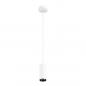 Preview: SLV 1004166 NUMINOS PD PHASE S Indoor LED Pendelleuchte weiß/schwarz 4000K 24°
