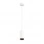 Preview: SLV 1004247 NUMINOS PD PHASE M Indoor LED Pendelleuchte weiß/schwarz 2700K 36°
