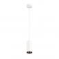 Preview: SLV 1004254 NUMINOS PD PHASE M Indoor LED Pendelleuchte weiß/schwarz 3000K 24°