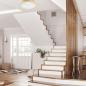 Preview: Bioledex Junges Wohnen Deckenleuchte Kiefer Holz und Glas