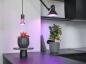 Preview: OSRAM LED Star Grow Lamp T 80 Pflanzenlampe 20W 650 lm 3 Lichtspektren E27 110° nicht dimmbar