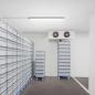 Preview: 12 Sparpack 60cm Philips Ledinaire Feuchtraumleuchte WT060C LED18S 840 PSU 4000K neutralweißes Licht IP66 1800lm 15W