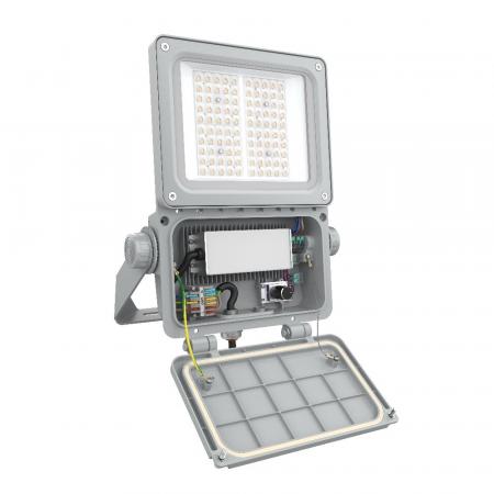 LEDVANCE LED Fluter FLOODLIGHT FLEX DALI ASYMMETRIC 55 X 120 FL FLEX DA P 40W 830 A55X120 WAL