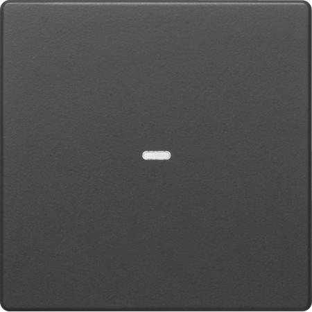 Berker 80960226 Abdeckung 1f. Tastsen.-Modul Q.x anth