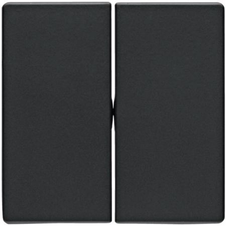Berker 16236086 Wippe für Wippschalter 2-fach Serie Q.x anthrazit, samt