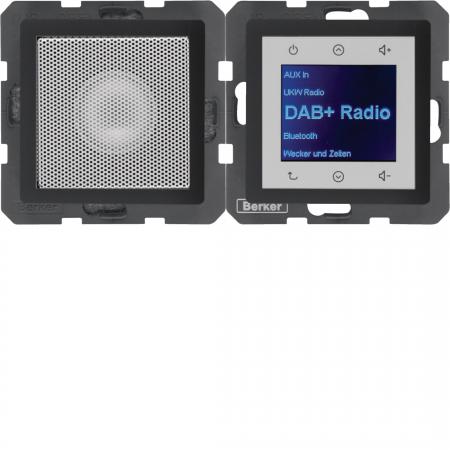 Berker 30806086 Radio Touch mit Lautsprecher, Einbauradio UP, DAB+, Bluetooth Q.