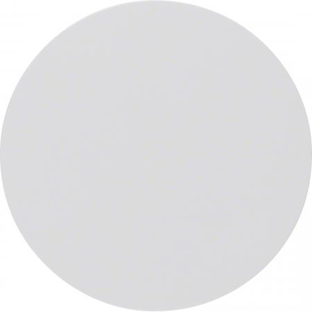 Berker MAN0305124 WIPPE R.x POLARWEISS MATT