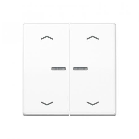 JUNG HOME Taster 2fach, mit Pfeilsymbolen, mit Lichtleiter BT A 17102 P WW, alpinweiß