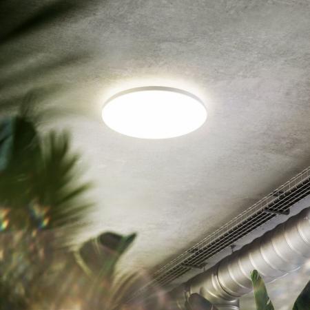SIGOR Shine Aufbauleuchte rund 30 cm 24 W 2300 lm Tunable White 3000/4000 K Weiß DALI