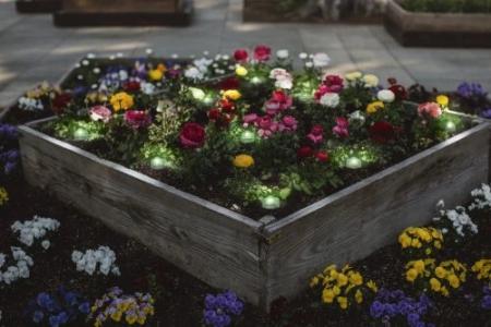 LED-WiFi Lichterkette LEDVANCE SMART+ Garten 3er Erweiterung RGBW - Multicolor