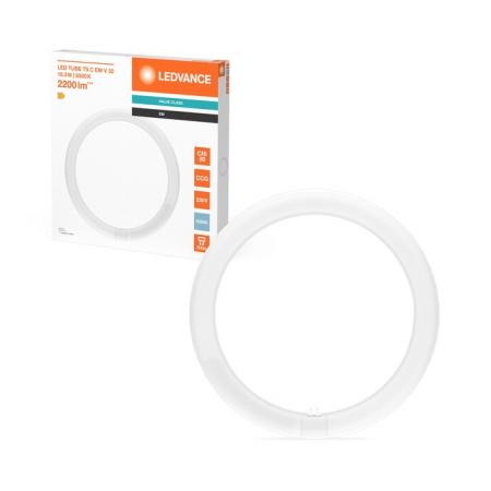 Ledvance T9 LED Röhre TUBE C 32 EM V 18.3W 865 wie 32W G10q Ringform Tageslichtweiß 6500K