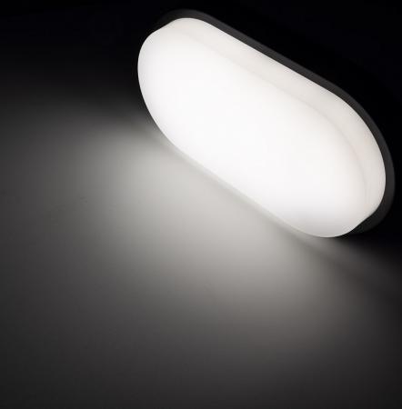 ChiliTec LED Wandleuchte "PALAU" IP54, 4000K Oval, 10 Watt, 900 Lumen, Anthrazit