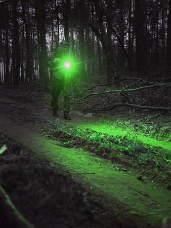 Armytek  Wizard C2 WG Warm LED Stirnlampe und Taschenlampe akkubetrieben Magnet USB neutralweißes und grünes Licht