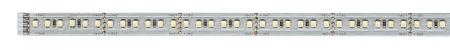 Paulmann 70569 Function MaxLED 1000 Strip 1m 6500K 11.5W 24V Silber