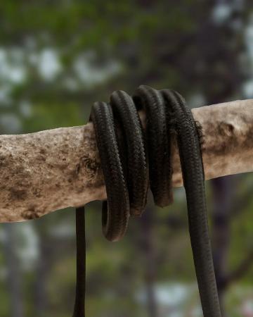 New Garden CALABARDINA PENDELLEUCHTE MIT KABEL und E27 Fassung Durchmesser: 30 cm, IP44 Sanftes Grün