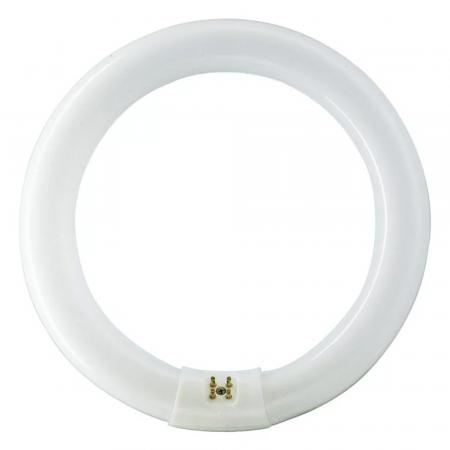 Philips G10q  Leuchstoffröhre MASTER TL-E Circular 32W/840