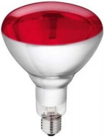 Philips BR125 IR 250W E27 230–250V Rot Infrarot-Wärmelampe