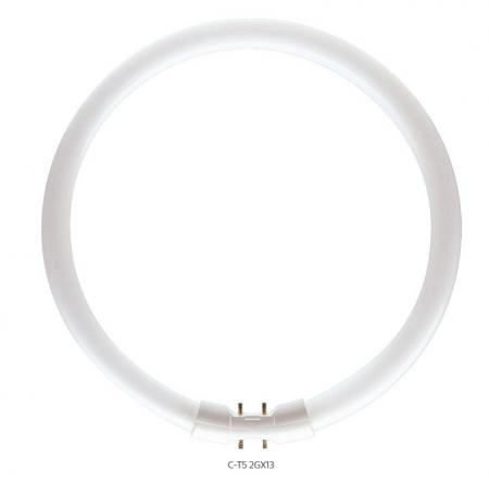 Philips MASTER TL5 Circular 22W 830 1800lm 3000K Warmweiß 2GX13 Ringform Ø230mm dimmbar