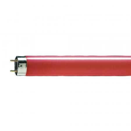 Philips MASTER TL-D 58W Red G13 150cm Leuchtstofflampe – Rote T8 Leuchtstoffröhre 150cm für Effektbeleuchtung