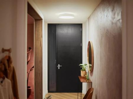 Philips Hue Enrave Deckenleuchte inkl. Dimmschalter Weiß - Bluetooth oder ZigBee 38,1cm