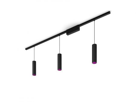 Philips Hue White & Color Ambiance Pendelleuchte Perifo 3-flammig Perifo RGBW multicolor Licht, Schwarz