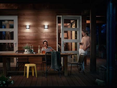 Philips myGarden LED Python Wandaußenleuchte in Anthrazit mit Bewegungssensor neutralweißes Licht