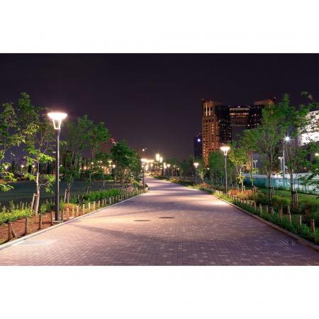 Philips E40 TFoce LED Road Straßenlampe SON-T MV 10800lm 65W wie 150W 727 2700K warmweißes Licht