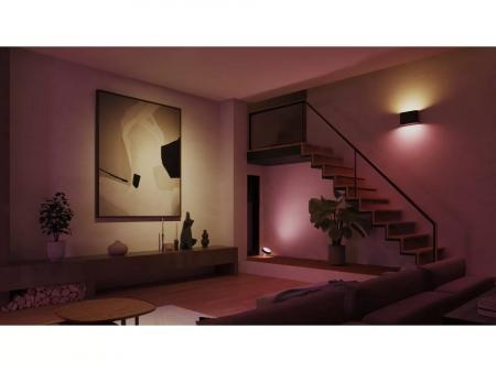 Philips Hue White & Color Dymera Wandleuchte up&down für innen & außen IP44