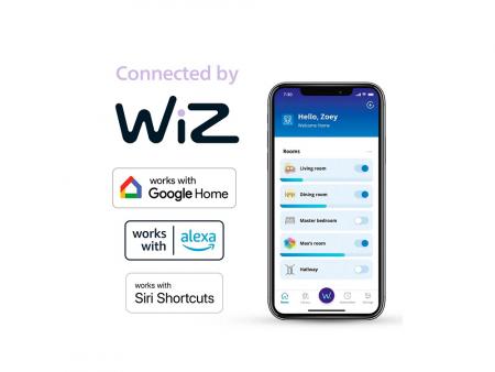 Philips WiZ Smart LED-Filament-Kugellampe G125 E27 7W wie 60W 806lm 2700–6500K dimmbar WiFi Bluetooth